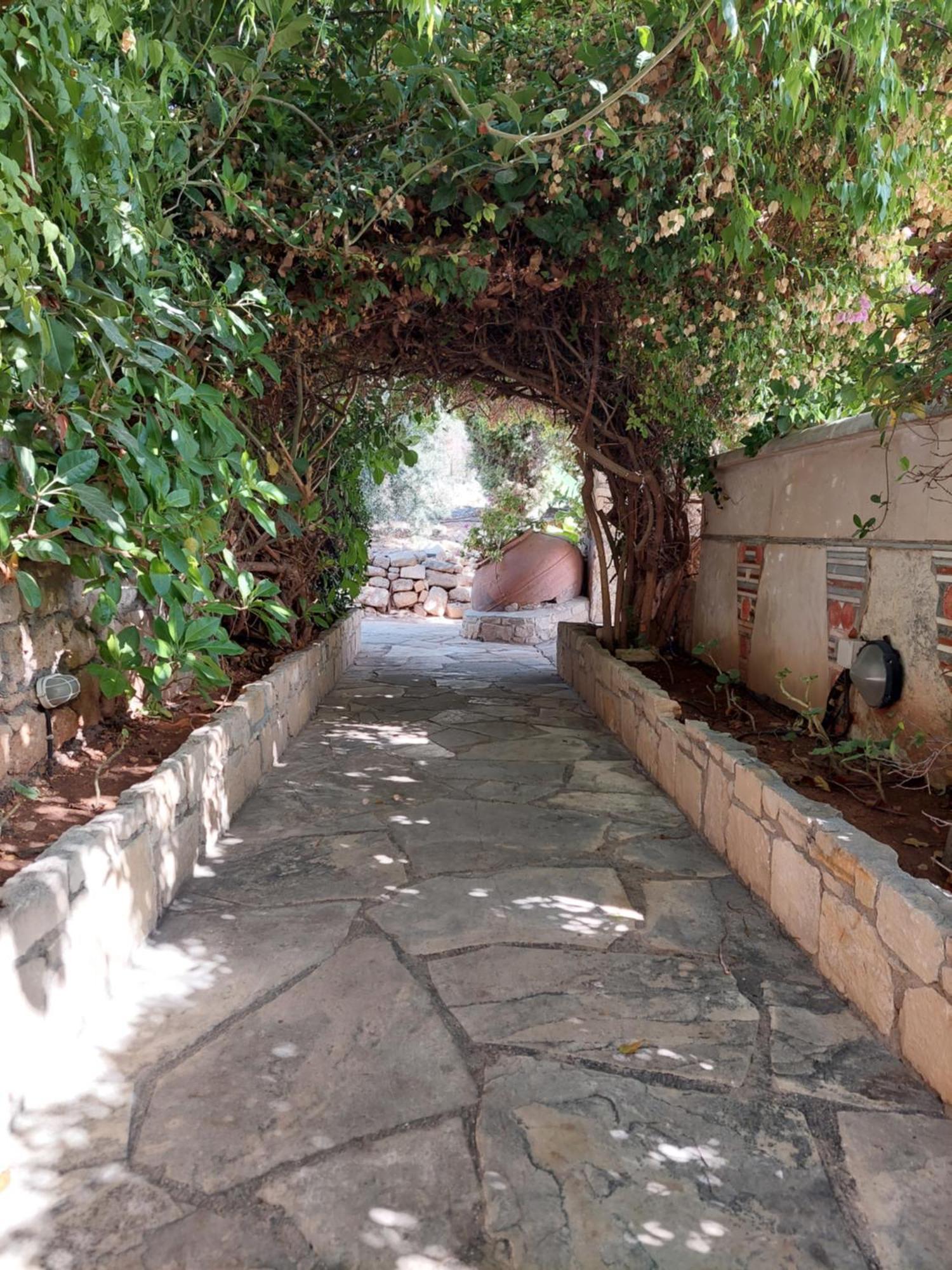 Basilica Holiday Resort Paphos Exterior foto